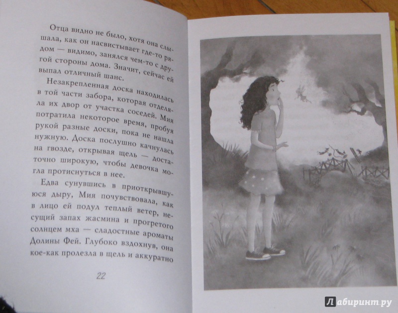 Иллюстрация 18 из 41 для Одуванчиковое желание - Кики Торп | Лабиринт - книги. Источник: Штерн  Яна