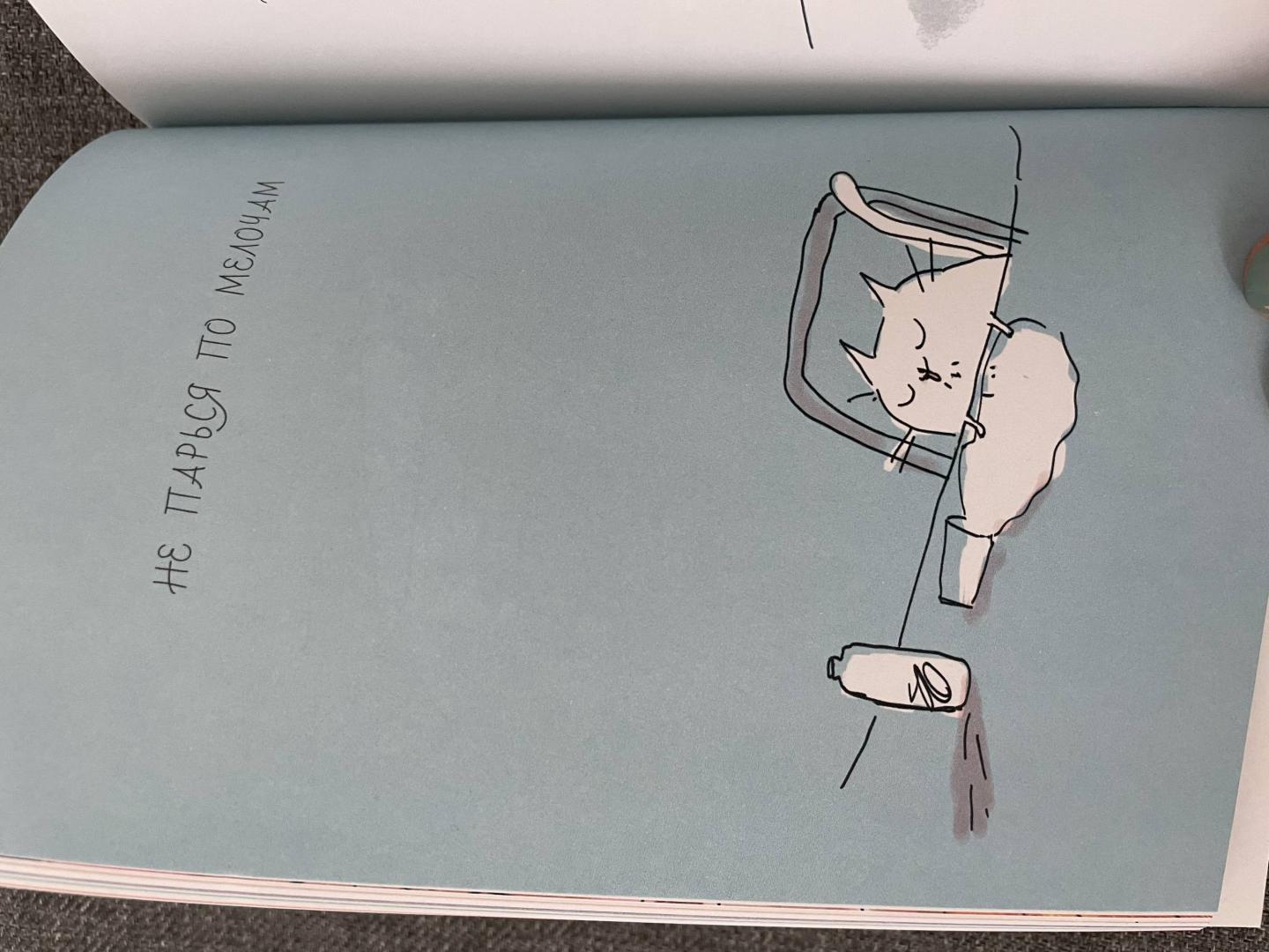 Иллюстрация 51 из 53 для Правила жизни моего кота - Джейми Шелман | Лабиринт - книги. Источник: Светлана Кепман