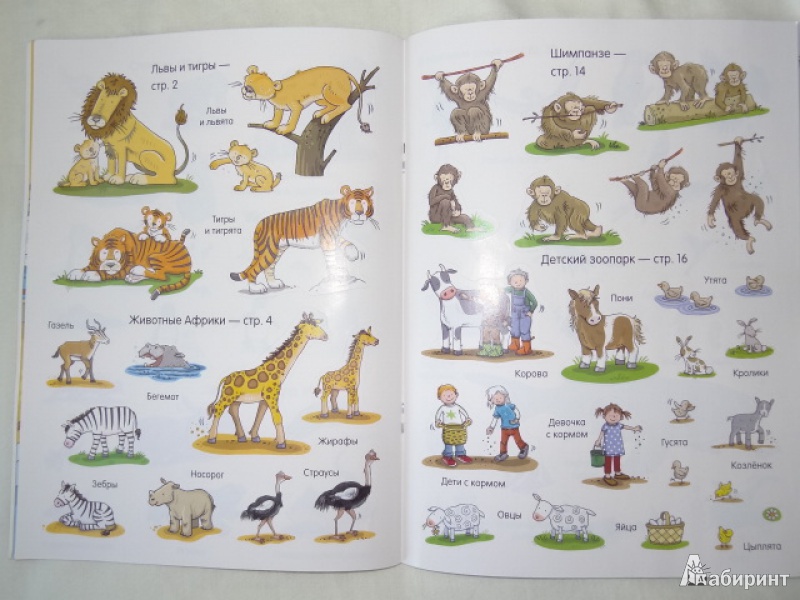 Иллюстрация 3 из 20 для Книга с наклейками. В зоопарке | Лабиринт - книги. Источник: Читатель со стажем
