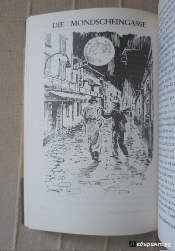 Иллюстрация 17 из 17 для Читаем в оригинале: Stefan Zweig - Стефан Цвейг | Лабиринт - книги. Источник: Марфа Х.К.