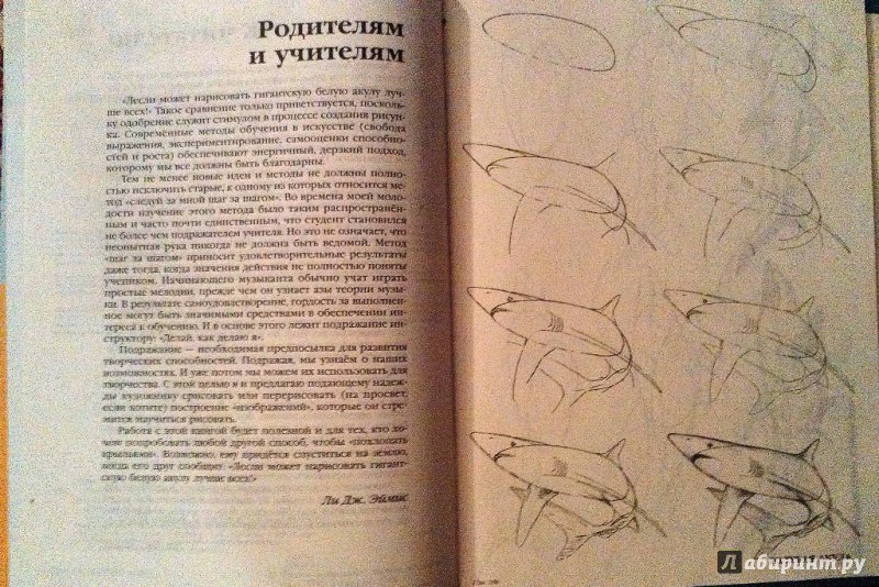 Иллюстрация 15 из 33 для Рисуем 50 акул, китов и других морских животных - Эймис, Бадд | Лабиринт - книги. Источник: ss0263042