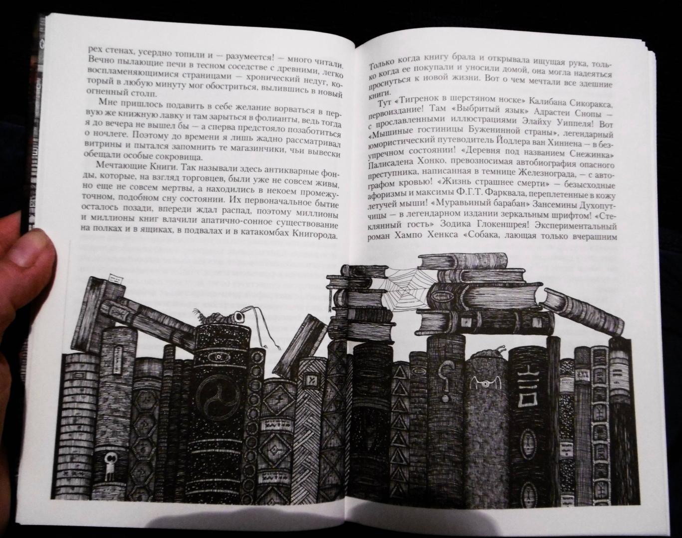 Иллюстрация 57 из 73 для Город Мечтающих Книг - Вальтер Моэрс | Лабиринт - книги. Источник: izograf