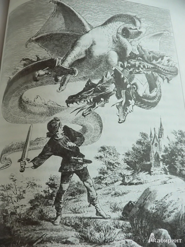 Иллюстрация 13 из 95 для Сказки - Гримм Якоб и Вильгельм | Лабиринт - книги. Источник: In_Ferrum