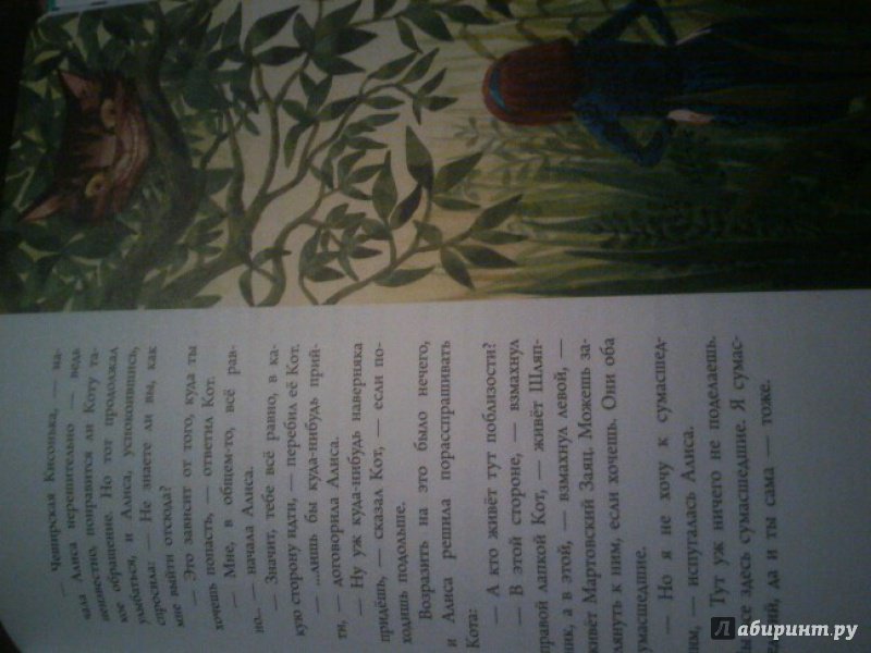 Иллюстрация 38 из 40 для Алиса в Стране Чудес - Льюис Кэрролл | Лабиринт - книги. Источник: Смирнова Марина