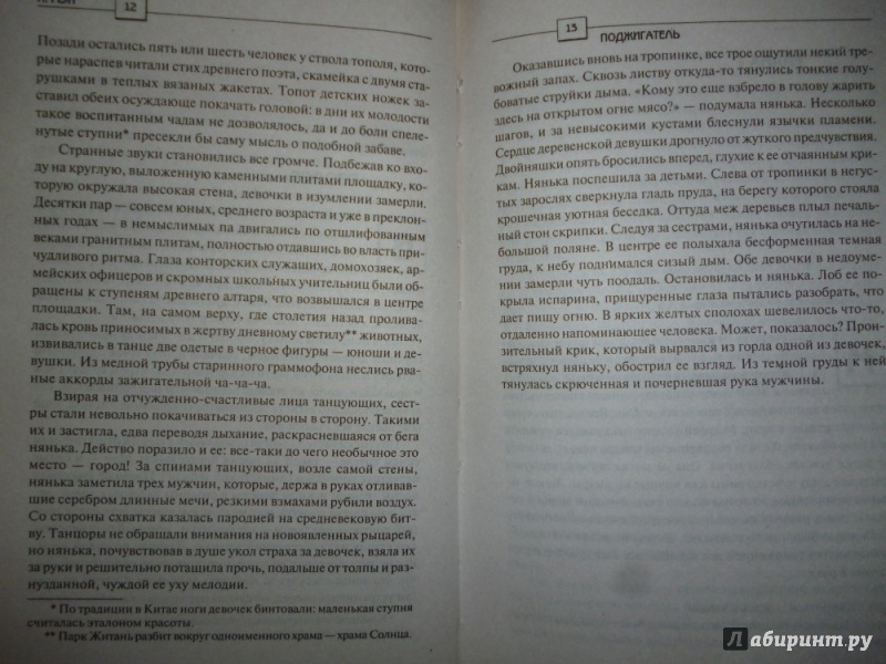 Иллюстрация 12 из 17 для Поджигатель - Питер Мэй | Лабиринт - книги. Источник: Бабкин  Михаил Юрьевич