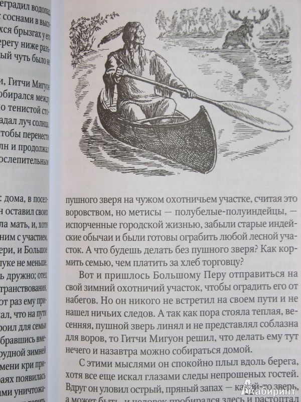 Иллюстрация 12 из 20 для Саджо и ее бобры - Сова Серая | Лабиринт - книги. Источник: Тестов  Роман