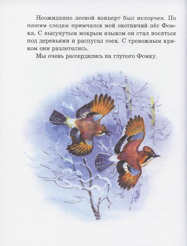 Иллюстрация 21 из 32 для Русский лес - Иван Соколов-Микитов | Лабиринт - книги. Источник: Igra
