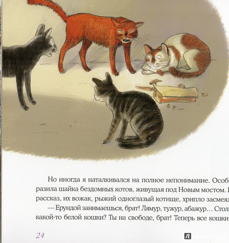 Иллюстрация 43 из 83 для Нуаро и Бланш - Антон Соя | Лабиринт - книги. Источник: Anna  Mihailova