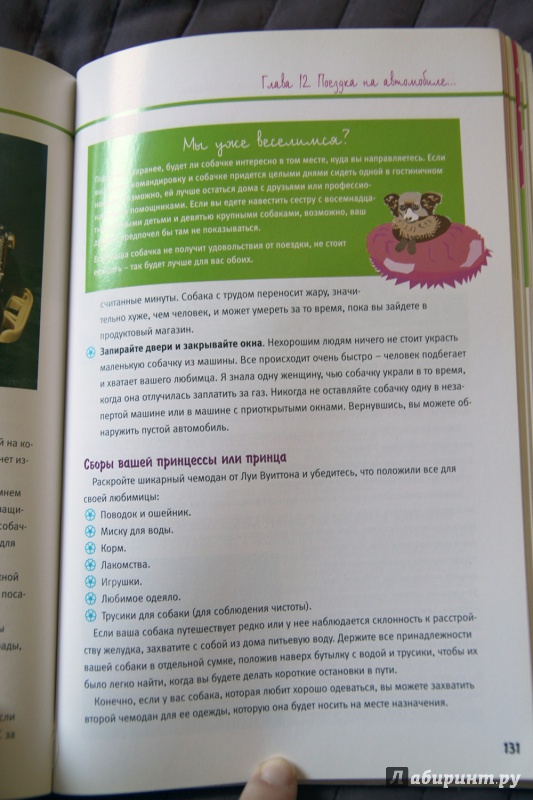 Иллюстрация 8 из 22 для Большая книга красоты для маленькой собачки - Дебора Вуд | Лабиринт - книги. Источник: Vera Grey