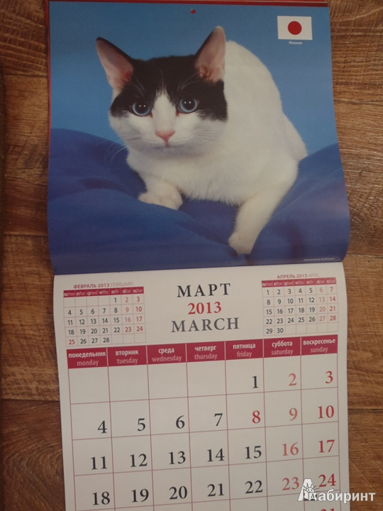 Иллюстрация 6 из 8 для Календарь 2013 "Кошки мира" (70319) | Лабиринт - сувениры. Источник: Тесла