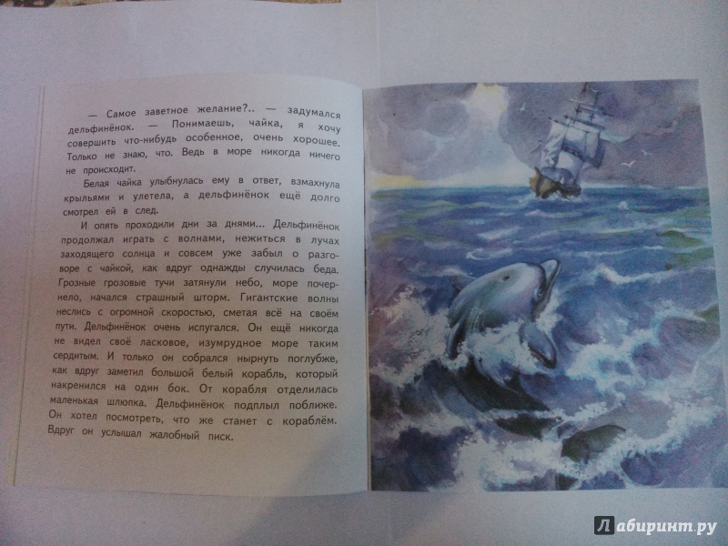 Иллюстрация 15 из 16 для Дельфиненок и чайка - Елена Ермолова | Лабиринт - книги. Источник: SoleNn