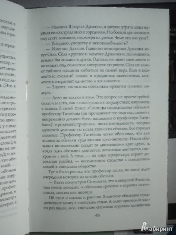 Иллюстрация 3 из 3 для Невероятное путешествие по Японии. Дорогами Будды - Уилл Фергюсон | Лабиринт - книги. Источник: Нина