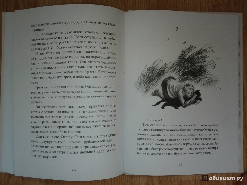 Иллюстрация 35 из 57 для Привет тебе, Митя Кукин! - Лев Кузьмин | Лабиринт - книги. Источник: Olga
