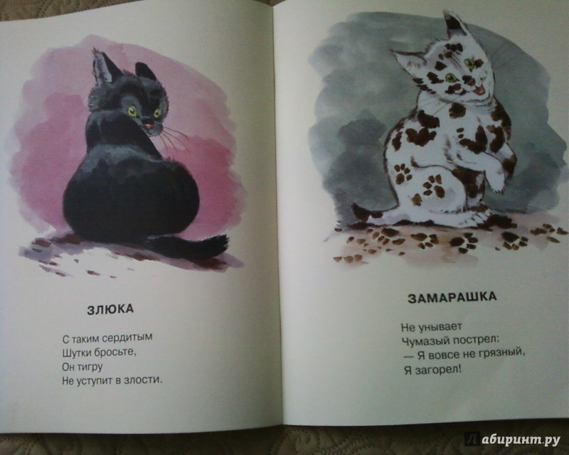 Иллюстрация 30 из 64 для Посмотрите какие котята - Владимир Матвеев | Лабиринт - книги. Источник: Родионова  Надежда