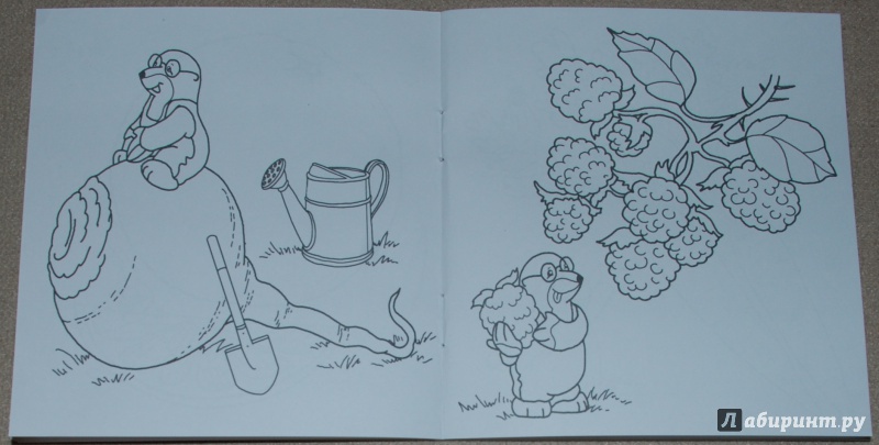 Иллюстрация 7 из 18 для Что растет на даче | Лабиринт - книги. Источник: Книжный кот