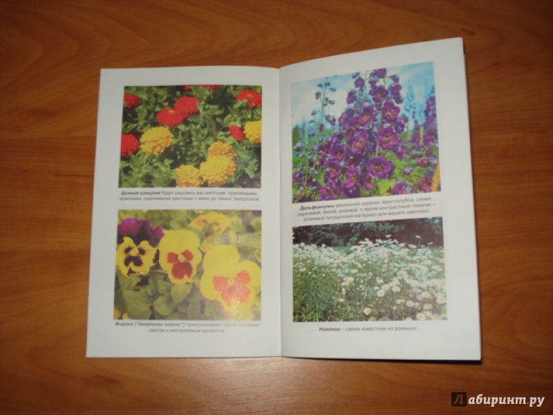 Иллюстрация 10 из 26 для Благоухающие цветы в вашем саду - Владимир Железнев | Лабиринт - книги. Источник: Масяшка