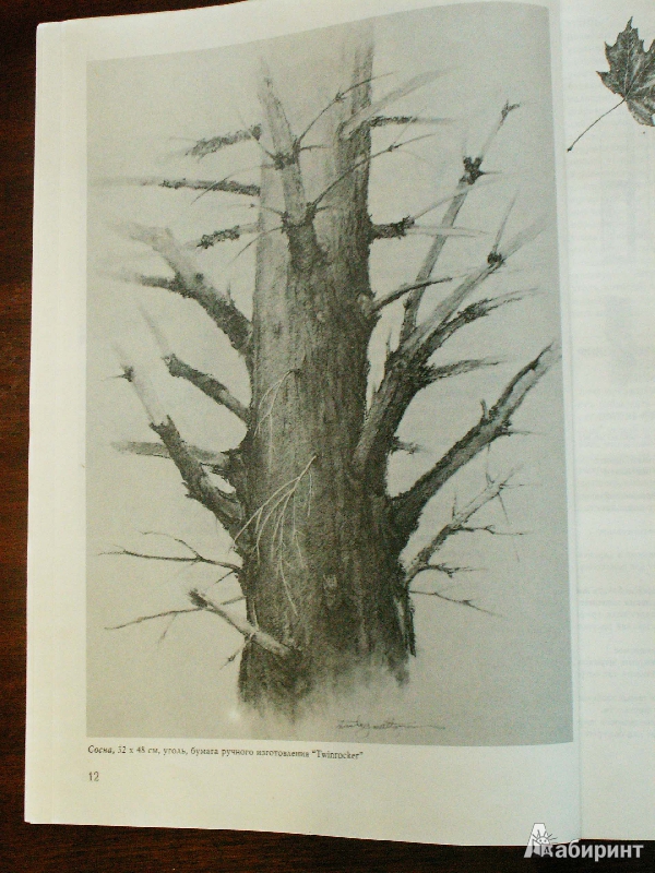Иллюстрация 50 из 61 для Деревья - Стенли Молцмен | Лабиринт - книги. Источник: Воронина  Екатерина Фёдоровна
