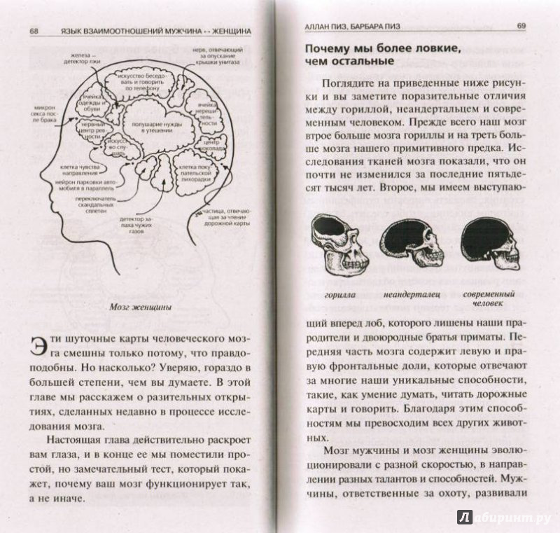 Иллюстрация 7 из 20 для Язык взаимоотношений мужчина - женщина: Как научиться бесконфликтно общаться с противоположным полом - Пиз, Пиз | Лабиринт - книги. Источник: very_nadegata