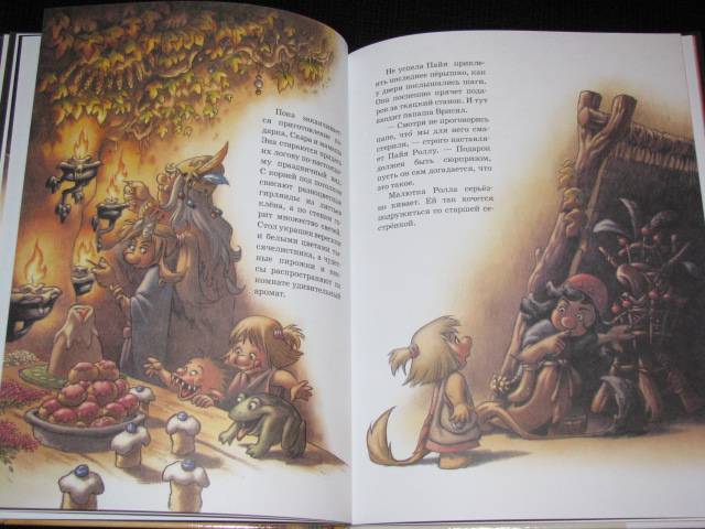 Иллюстрация 14 из 15 для Волшебный корень - Сиссель Бёэ | Лабиринт - книги. Источник: Nemertona