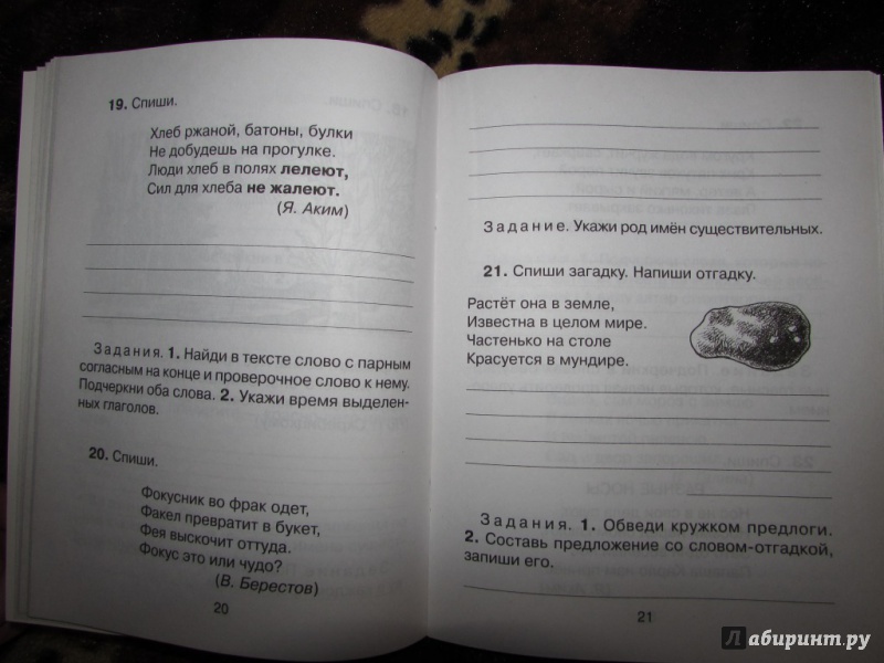 Иллюстрация 6 из 7 для Контрольное списывание. 2 класс. Практические и тренировочные задания для коррекции письма - Ольга Ушакова | Лабиринт - книги. Источник: Пермина  Ольга Николаевна