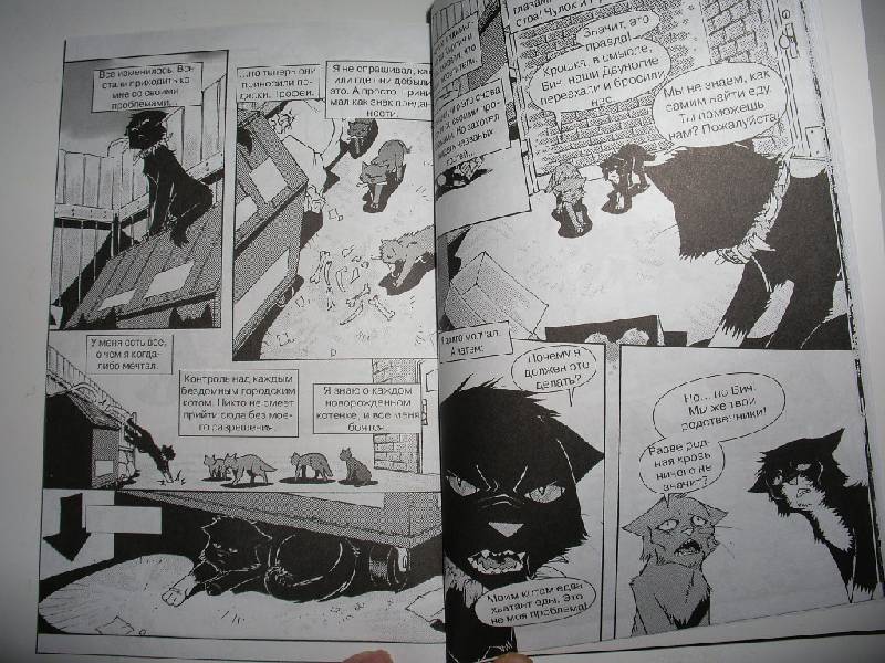 Иллюстрация 37 из 44 для Крутобок & Бич. Комплект комиксов из 4-х книг - Эрин Хантер | Лабиринт - книги. Источник: Tiger.