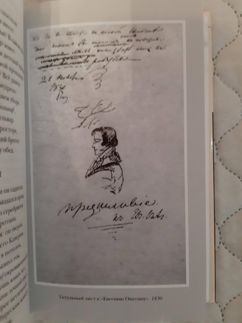 Иллюстрация 20 из 20 для Евгений Онегин - Александр Пушкин | Лабиринт - книги. Источник: Лабиринт