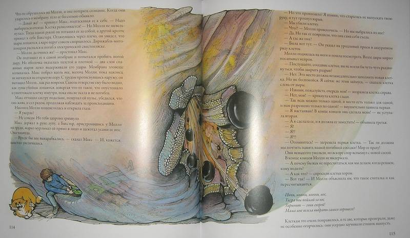 Иллюстрация 52 из 60 для Тайны анатомии - Кэрол Доннер | Лабиринт - книги. Источник: Трухина Ирина