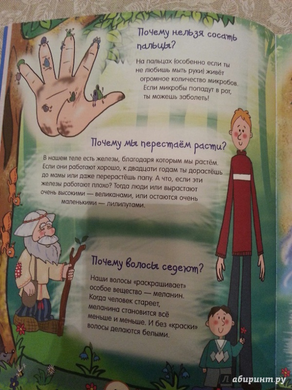Иллюстрация 38 из 136 для Почему трава зелёная и еще 100 детских почему - Татьяна Яценко | Лабиринт - книги. Источник: NataLiza