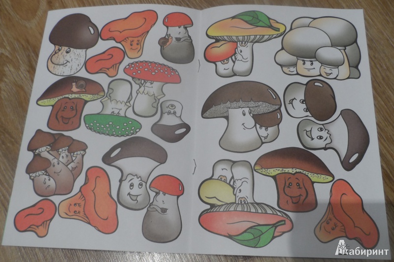 Иллюстрация 8 из 22 для Собери грибы | Лабиринт - игрушки. Источник: Sadalmellik