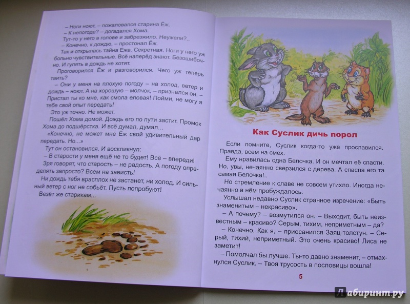 Иллюстрация 4 из 18 для Добрые сказки  Хомы и Суслика - Альберт Иванов | Лабиринт - книги. Источник: Татиша