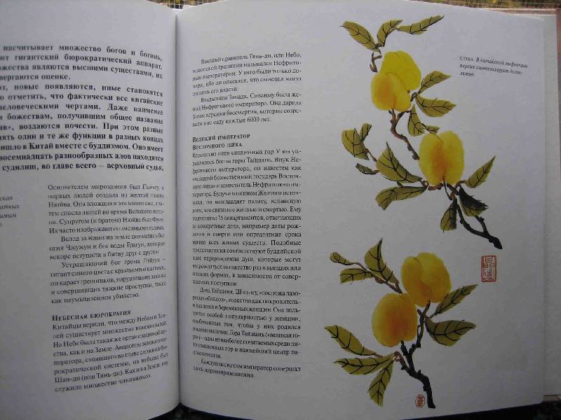 Иллюстрация 12 из 13 для Китайские Боги и Мифы | Лабиринт - книги. Источник: Трухина Ирина