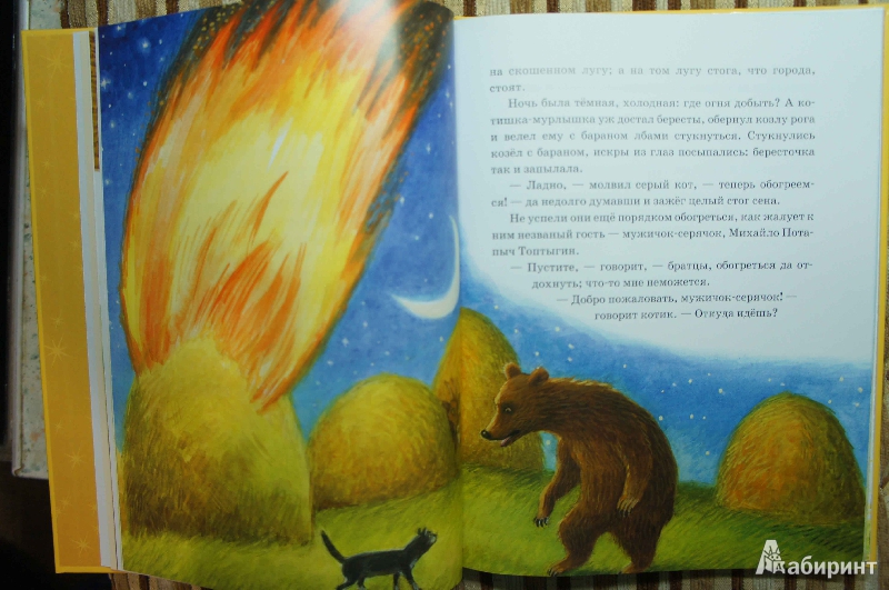 Иллюстрация 32 из 51 для Лягушка-путешественница | Лабиринт - книги. Источник: Белкина  Виктория