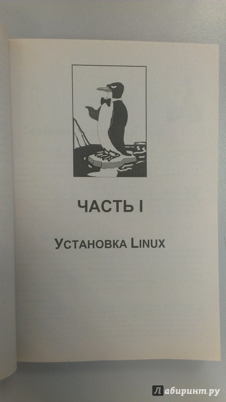 Иллюстрация 5 из 17 для Серверное применение Linux - Денис Колисниченко | Лабиринт - книги. Источник: junelight