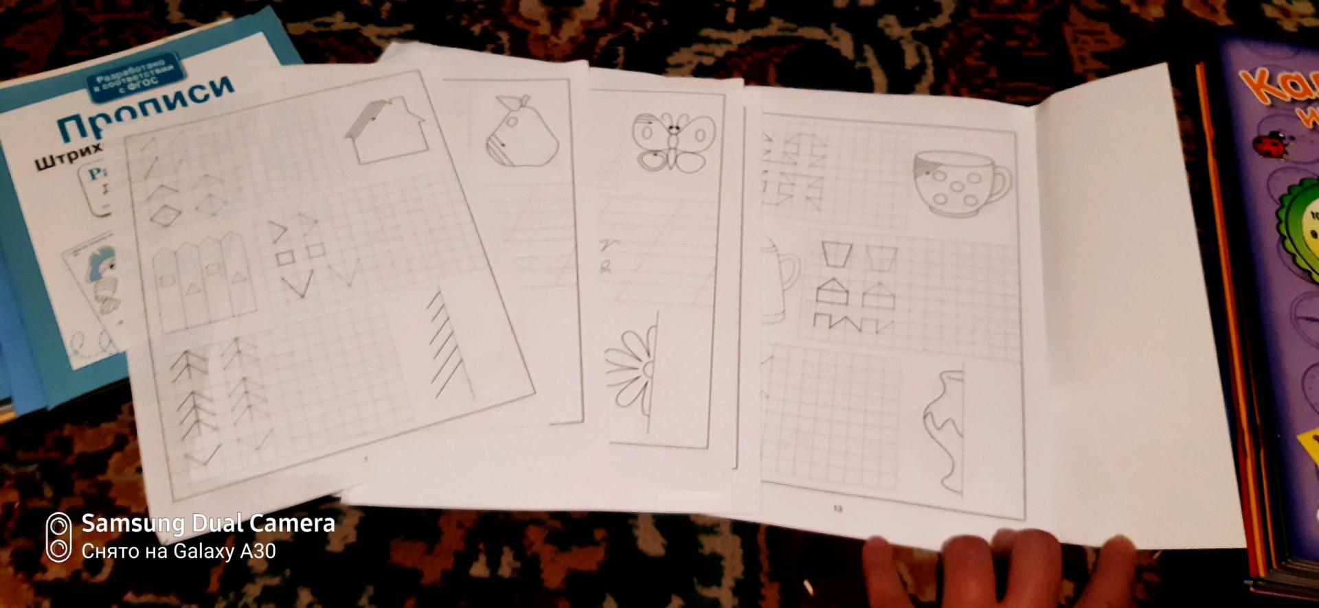Иллюстрация 15 из 16 для Раскраска-пропись. Задания на развитие начальных графических навыков. Для детей 4-5 лет | Лабиринт - книги. Источник: Серебрякова Елена