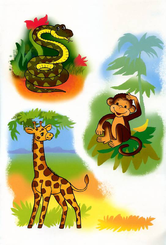 Иллюстрация 13 из 16 для Рисуем и раскрашиваем диких животных. 6+ | Лабиринт - книги. Источник: Росинка