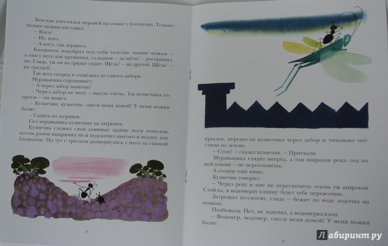 Иллюстрация 21 из 59 для Как муравьишка домой спешил - Виталий Бианки | Лабиринт - книги. Источник: adsveta