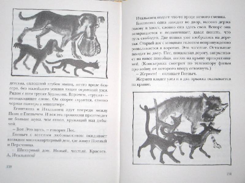 Иллюстрация 22 из 25 для Собака Пес - Даниэль Пеннак | Лабиринт - книги. Источник: Читательница