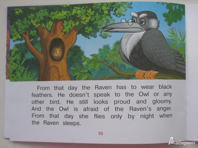 Иллюстрация 10 из 16 для Почему сова летает только ночью | Лабиринт - книги. Источник: Tatyana_G