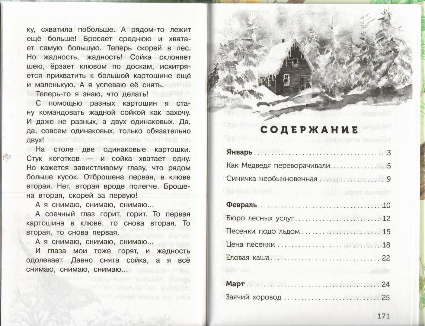 Иллюстрация 19 из 24 для Лесные тайнички - Николай Сладков | Лабиринт - книги. Источник: Лабиринт