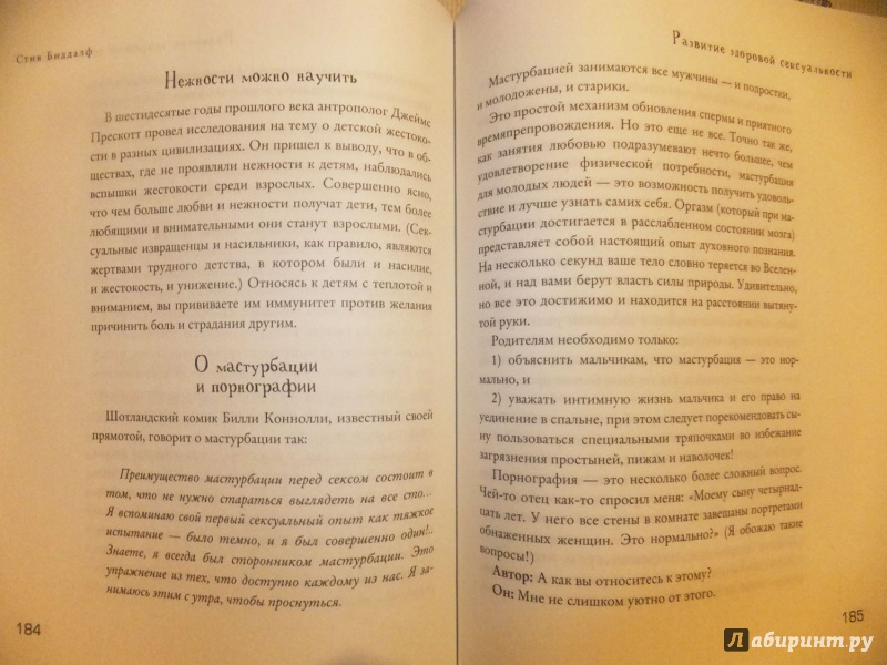 Иллюстрация 11 из 14 для Что такое мальчишки? - Стив Биддалф | Лабиринт - книги. Источник: Андреева  Юлия