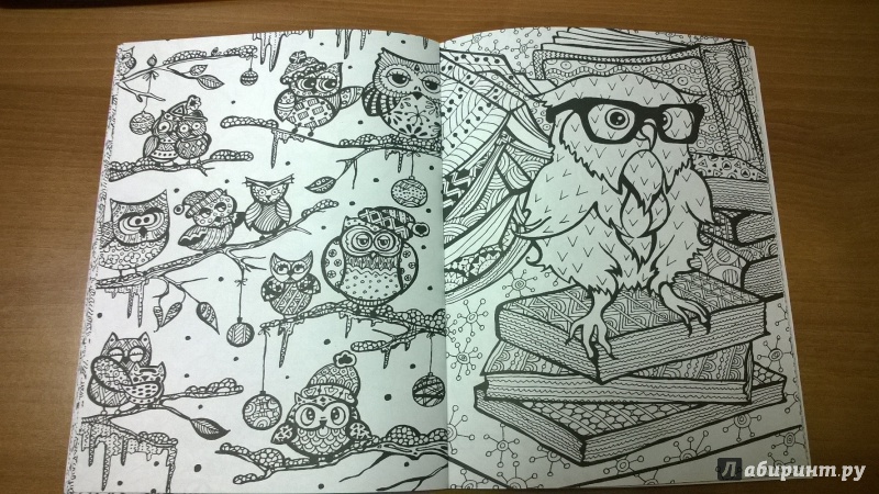 Иллюстрация 4 из 19 для Удивительные совы: книжка-раскраска | Лабиринт - книги. Источник: Mindfield