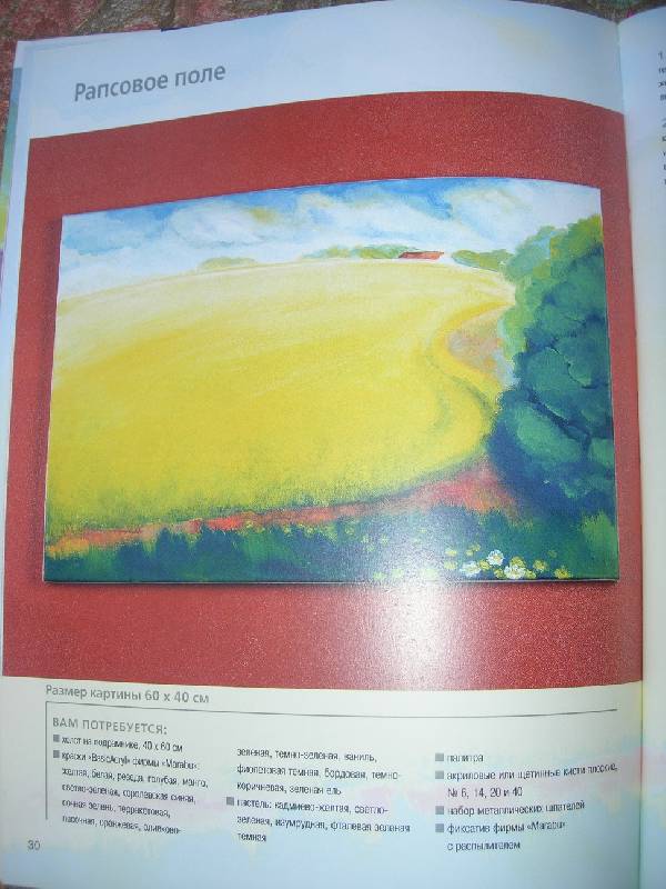 Иллюстрация 4 из 12 для Современные пейзажи. Впечатляющие картины на подрамниках - Дорис Яусли | Лабиринт - книги. Источник: lemour