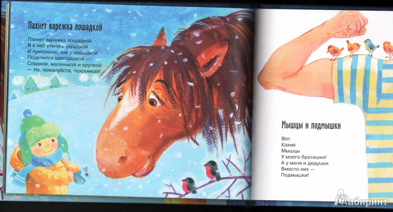 Иллюстрация 33 из 34 для Пахнет варежка лошадкой - Михаил Яснов | Лабиринт - книги. Источник: Птица Белая