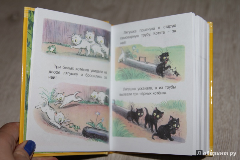 Иллюстрация 17 из 53 для Весёлые сказки и истории - Владимир Сутеев | Лабиринт - книги. Источник: Анна Арт