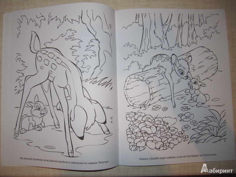 Иллюстрация 8 из 8 для Волшебная раскраска. Бемби (№1373) | Лабиринт - книги. Источник: Мурка