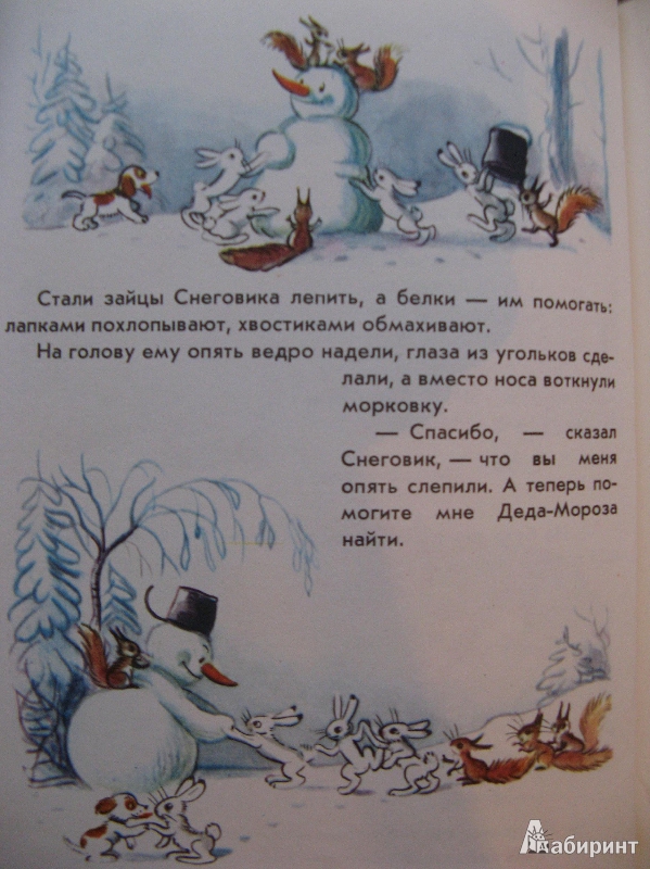 Иллюстрация 8 из 20 для Книга сказок для семейного чтения - Бианки, Заходер, Сутеев | Лабиринт - книги. Источник: Ольга