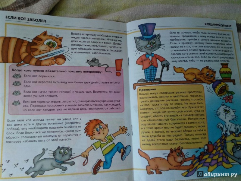 Иллюстрация 15 из 25 для Мама, хочу котенка! - Ольга Шапина | Лабиринт - книги. Источник: SeaVixen