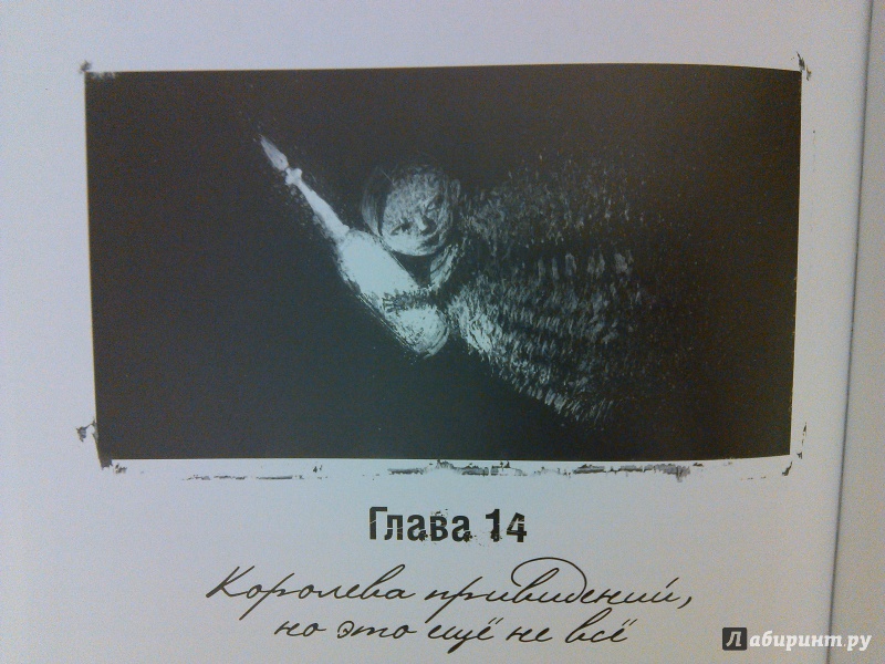 Иллюстрация 31 из 42 для Две невесты и любовный напиток - Софья Прокофьева | Лабиринт - книги. Источник: Cat Cat