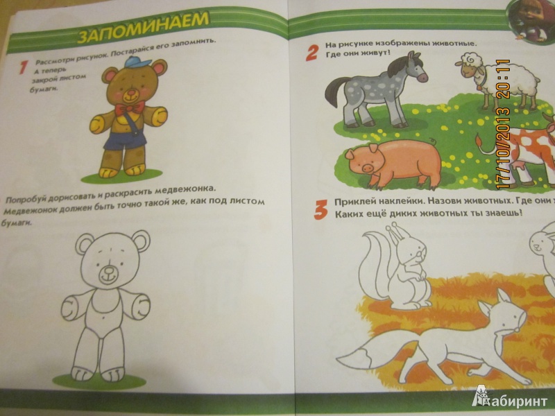 Иллюстрация 9 из 12 для Думаем сами. Маша и Медведь. Учимся с Машей. 4-5 лет | Лабиринт - книги. Источник: Карпеченко  Юля