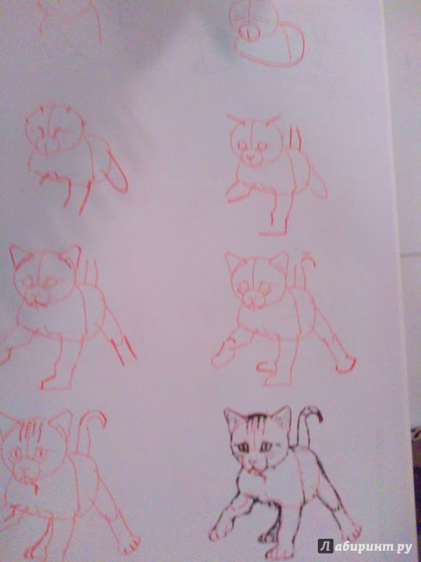 Иллюстрация 34 из 35 для Рисуем 50 кошек - Ли Эймис | Лабиринт - книги. Источник: Nadya_Che
